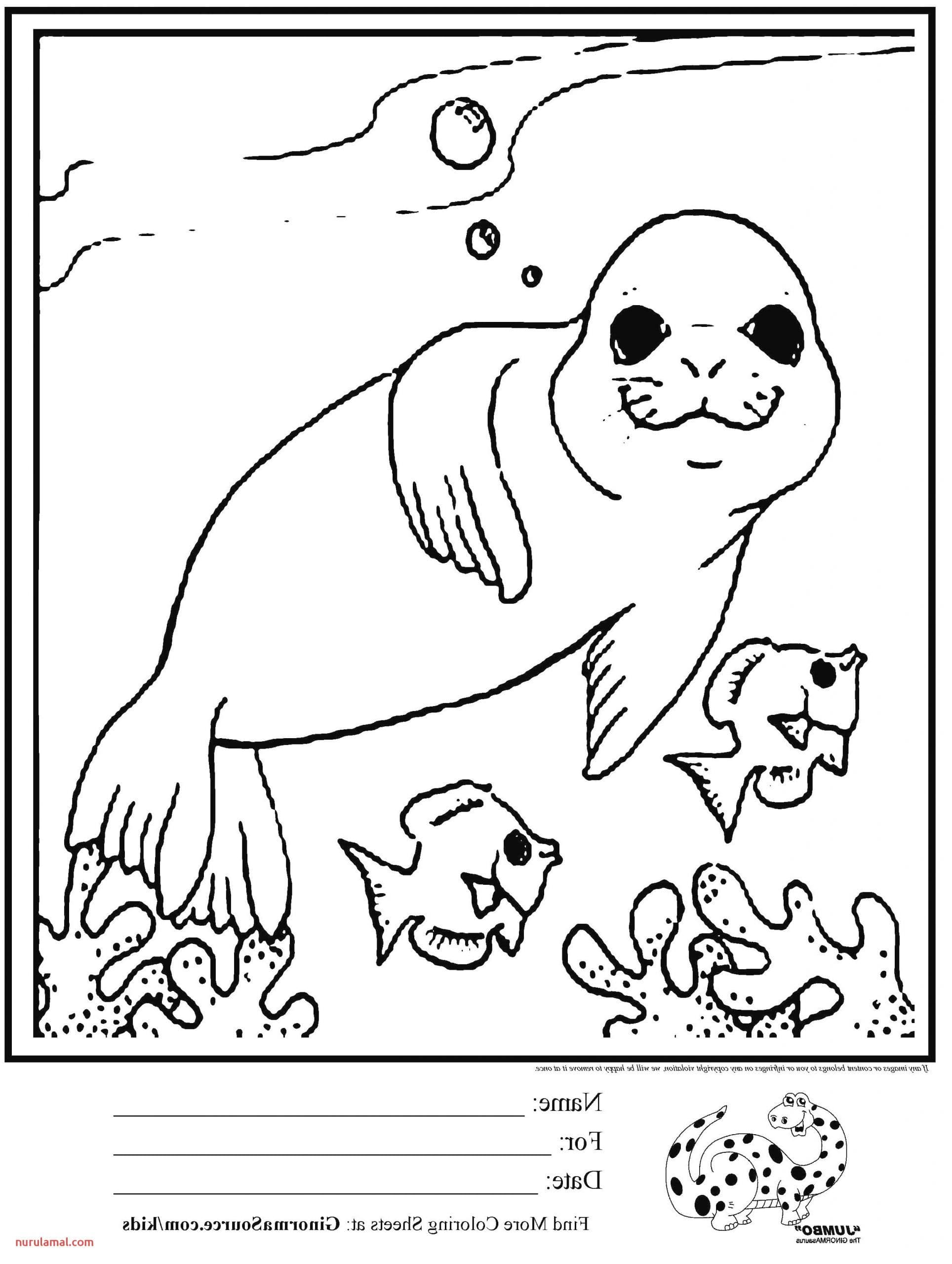 Картинка за оцветяване * Тюленче и рибки