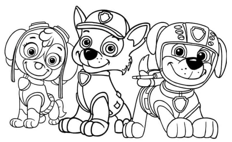 Paw Patrol Printable Coloring Page Featuring Zuma, Rocky, and Skye