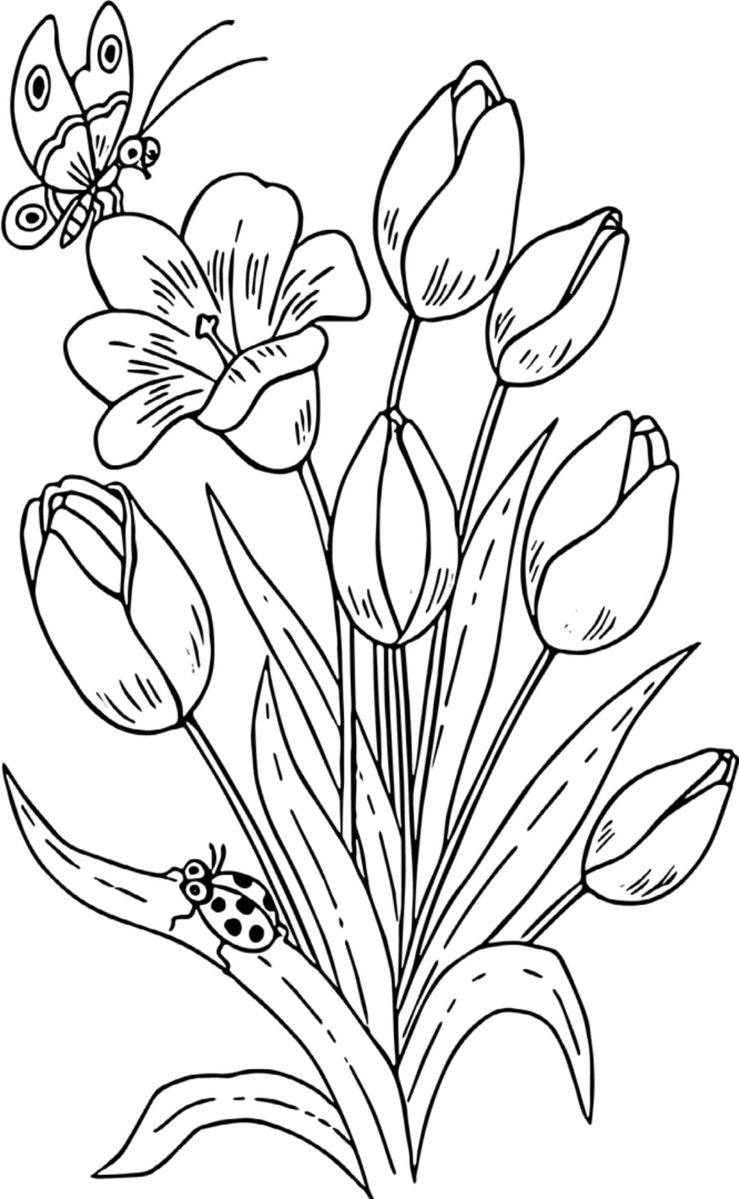 Букет лалета * Картинка за принтиране и оцветяване