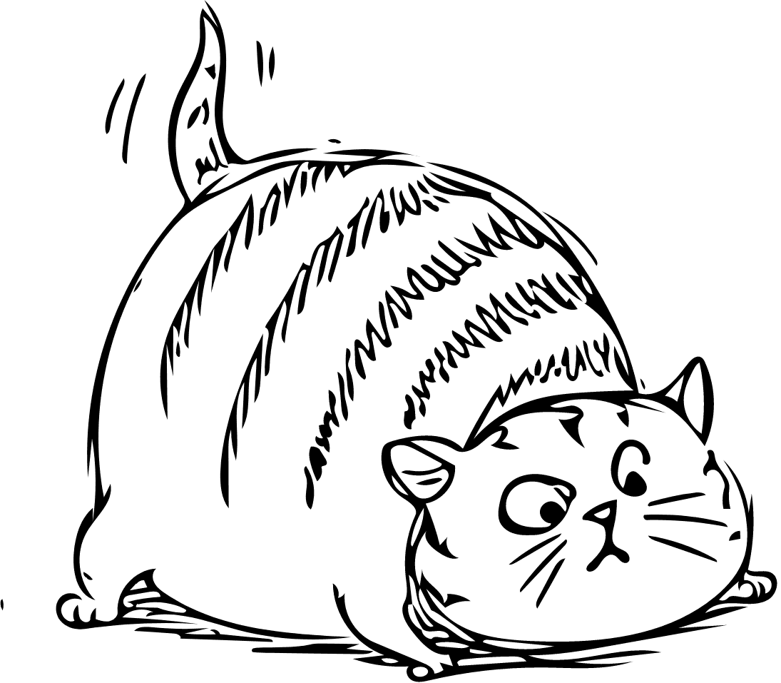 Ausmalbild einer lustigen Katze