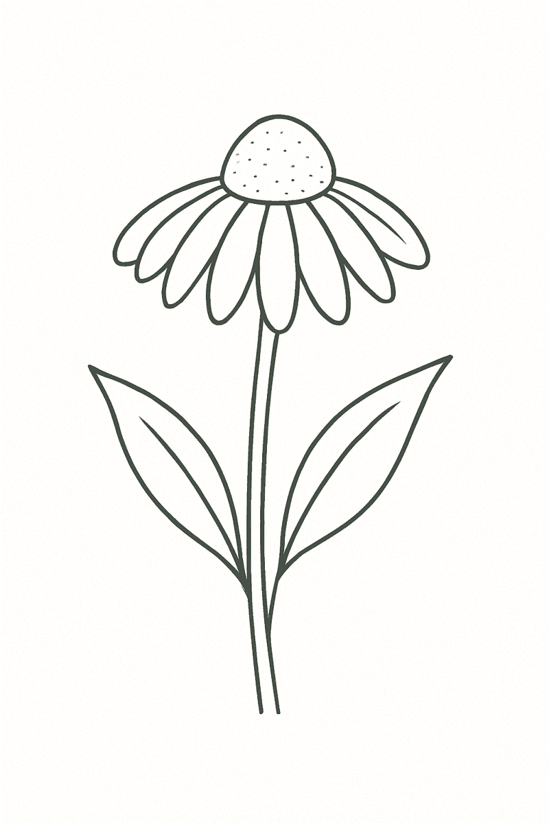 Черно-бяла рисунка на ехинацея
