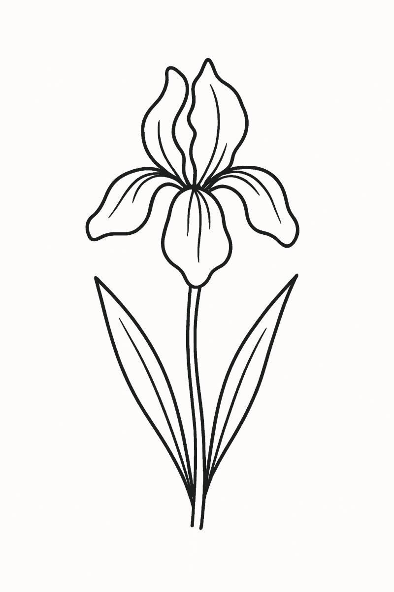 Изящна рисунка на ирис в нежни линии за оцветяване