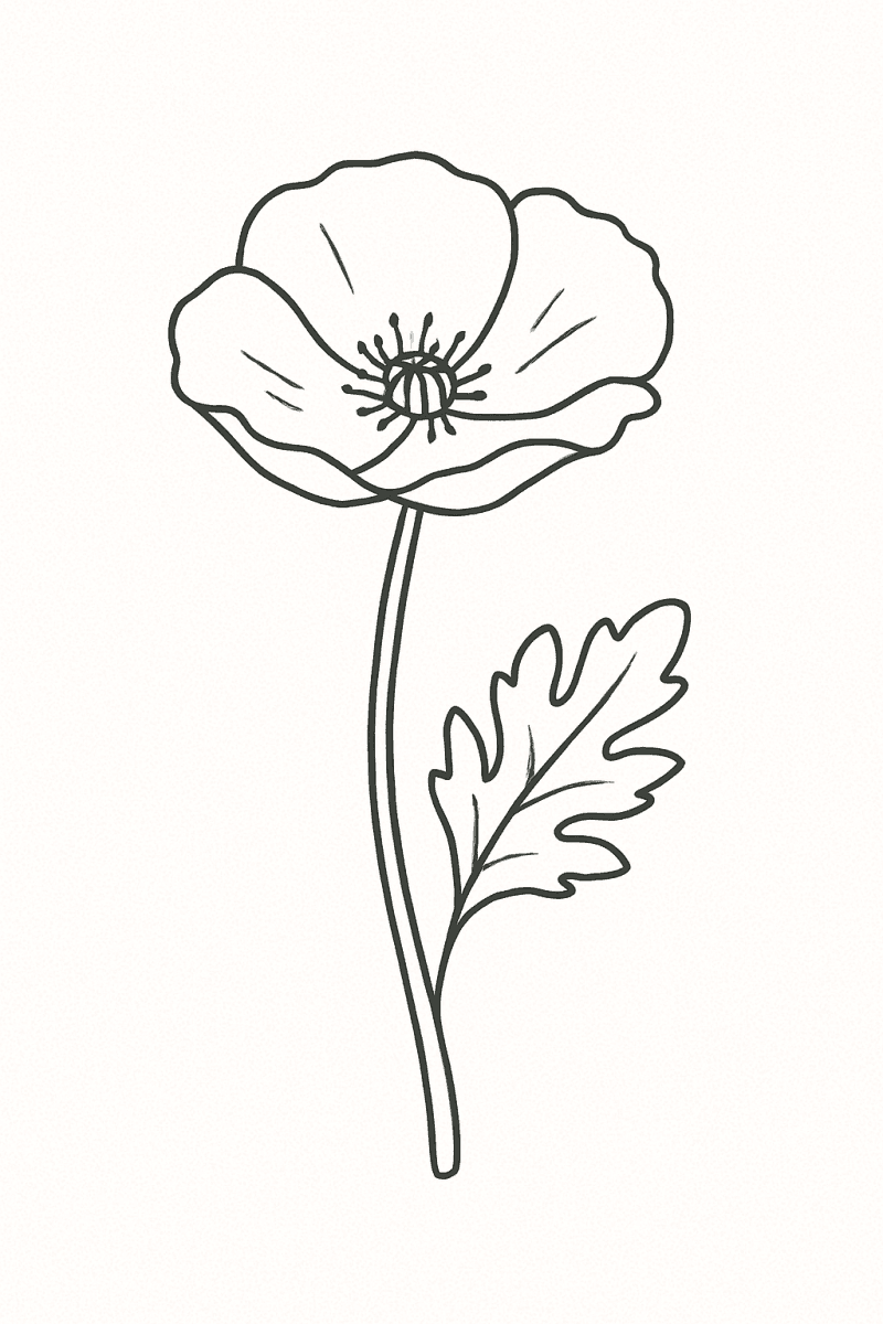 Черно-бяла рисунка на маков цвят