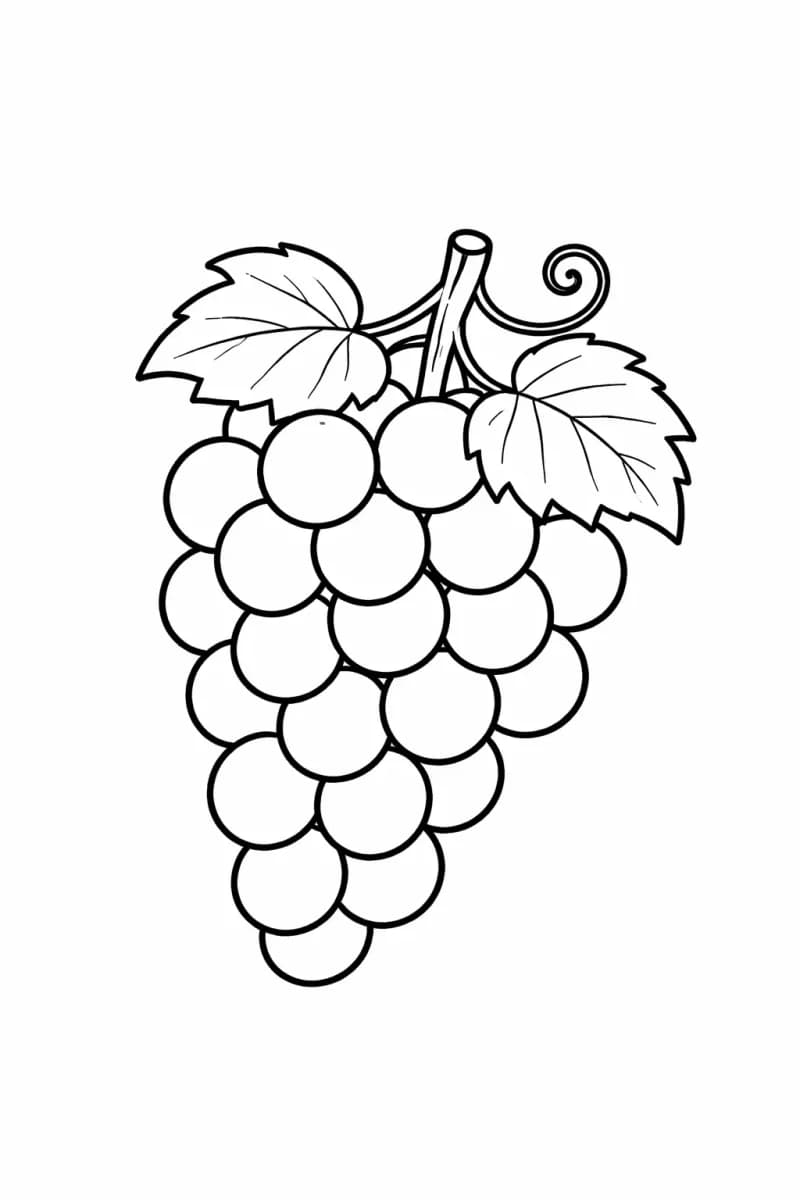 лесна картинка за оцветяване грозде за печат семпла картинка за оцветяване плодове чепка грозде за малки деца
