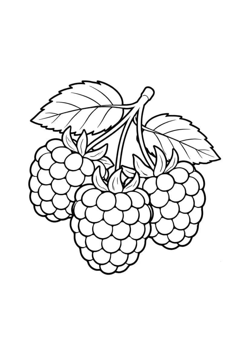 лесна страница за оцветяване на малини за печат прост лист за оцветяване на плодове за деца